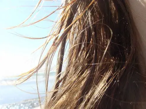 Летний уход за волосами: солнце вреднее отбеливателя