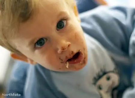 Маленькие дети любят есть сахарных солдатиков