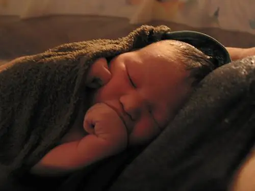 Фото: Балтимор Браун