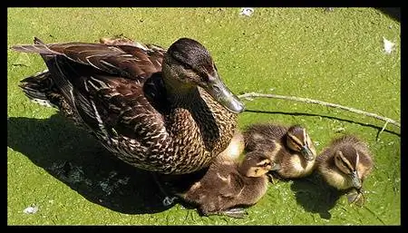 Есть ли жизнь после родов?