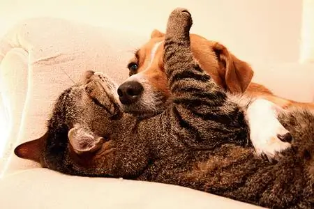 Записки милой мачехи (Часть 1)