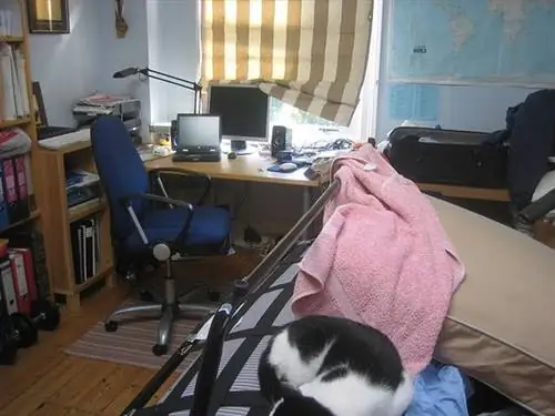 Иногда в комнату приходила кошка