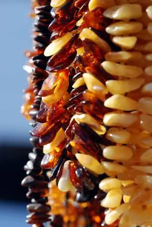 Успокоительное с тысячелетней историей: янтарь для детей