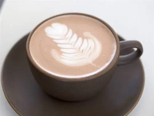 Какао сохраняет молодость и бодрит