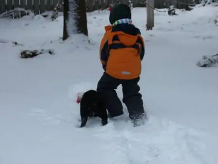 Canadian Babysitting Journal - Новые начинания