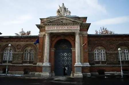 Больничный монитор: Сент Иштван, в третий раз. И четвертый раз