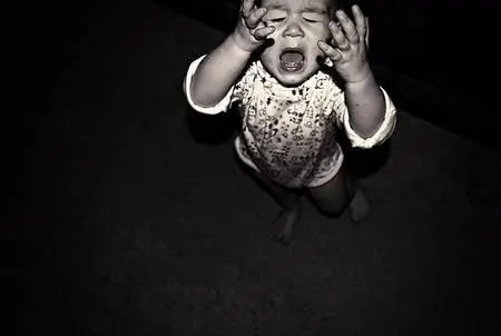 Фото: Аманда Типтон