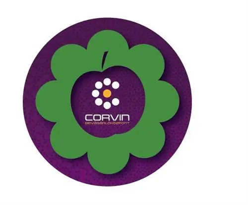 20% скидка в Поронти и Детской дневной распродаже OKAIDI