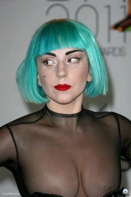 Леди Гага блеснула бутоном на CFDA