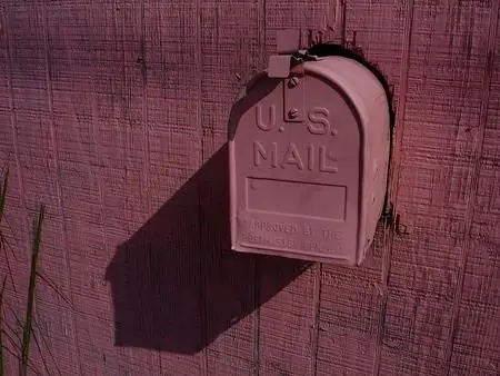 Фото: пучок штанов