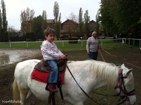 Pötyi это Pötyin