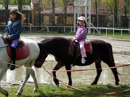 Две женщины, пятеро детей, много лошадей - это был конный праздник в Национальной кавалерии