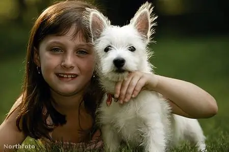 Собачьи экскременты заражают песочницу