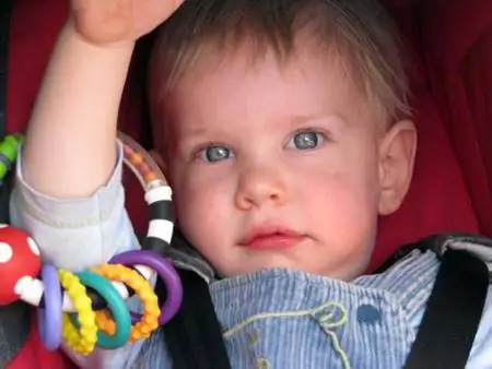 Palkónagló: Петух лижет туалетную бумагу