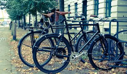 Фото: Томас Штайнер