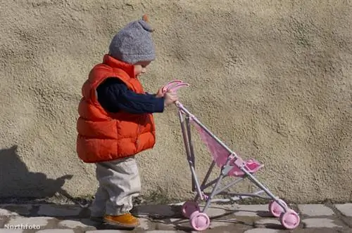 тк3с 56-1017901916