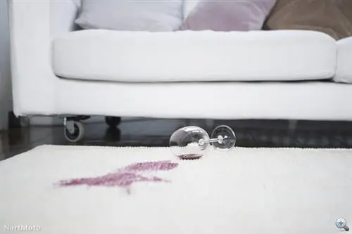 Шесть причин, почему полезно пить красное вино