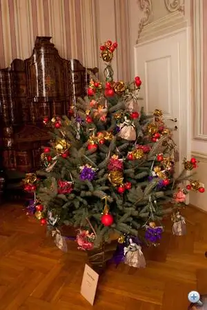 Кинга Фёльди - художник по текстильному дизайну