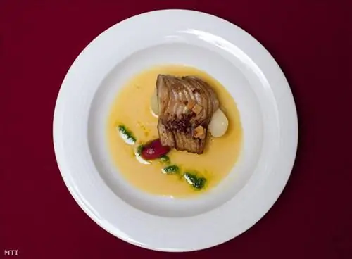 ДМОГА20110508005