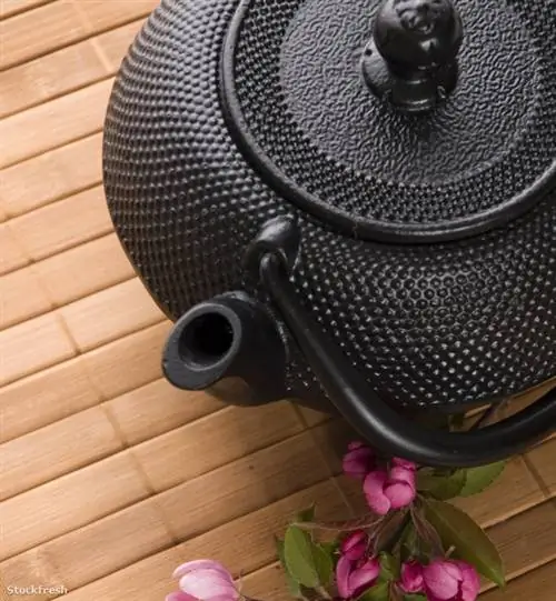 Stockfresh 806477 чайник размерM