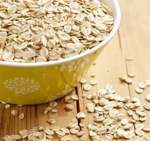 Смогу ли я съесть его на завтрак?