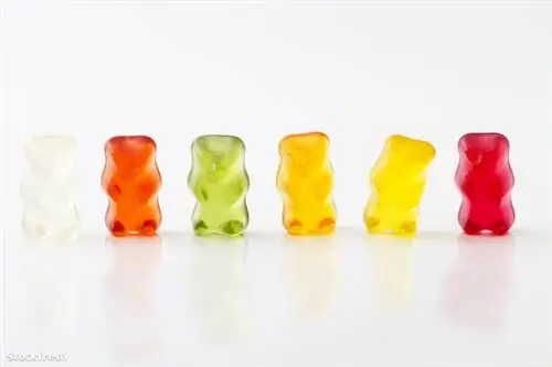 Вот как быть кухонной феей во время экзамена