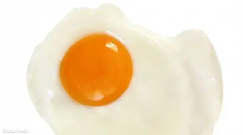 Шесть вопросов о протеине – не только для бодибилдеров