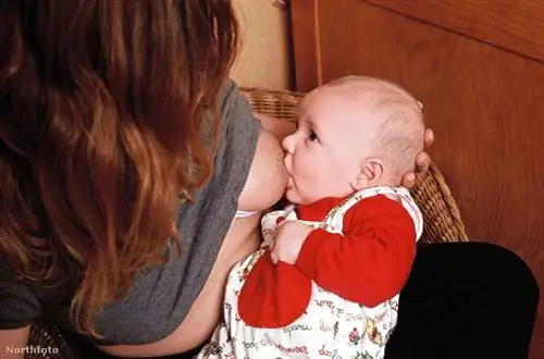 Где родитель должен провести черту