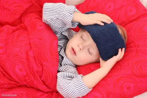 Когда ребенок привыкает к телевизору? Когда болен