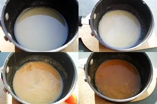 варианты жареного цвета: не жареный, светлый, средний, темный