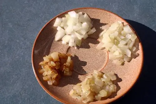 сырой лук-глазированный лук-коричневый лук-карамелизированный лук