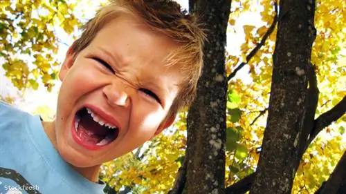 Много раз я просто стою парализованным, когда мой сын пинает меня