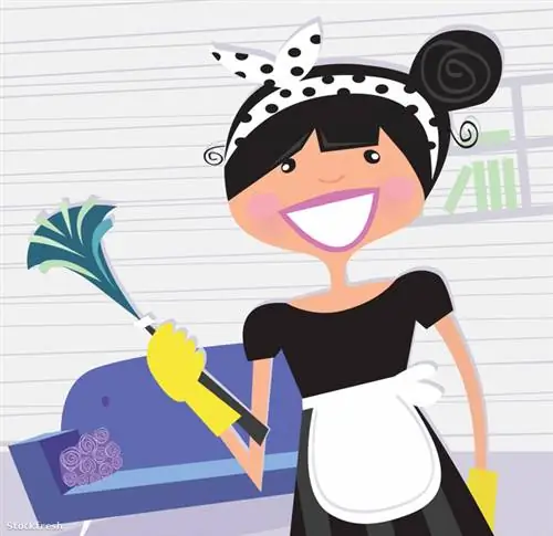 Он также может включать профессиональную помощь два раза в год