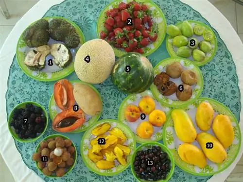 1.гуанабана, 2.клубника, 3.кактус инжир, 4.арбуз, 5.арбуз, 6.запоте, 7.ежевика, 8.мамей, 9.персик, 10.манго, 11.личи, 12.карамбола, 13. капулин 1.гуанабана, 2.клубника, 3.кактус инжир, 4.арбуз, 5.арбуз, 6.запоте, 7.ежевика, 8.мамей, 9.персик, 10.манго, 11.личи, 12.карамбола, 13. капулин