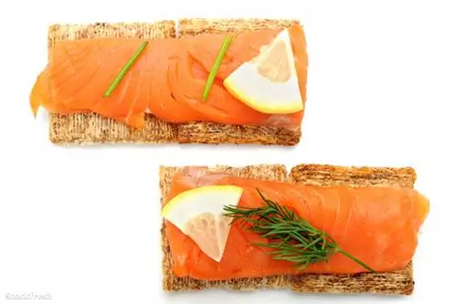 Лосось годится практически для всего