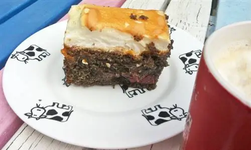 Базовая кухня: Стартовый набор рецептов печенья