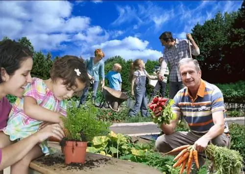 Овощи и фрукты в отделе инноваций и обучения