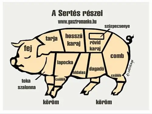gasztromanko.hu предоставил иллюстрацию