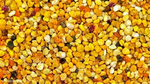 Люди с тяжелой аллергией защищены даже от гранул пыльцы, которые в остальном считаются здоровыми