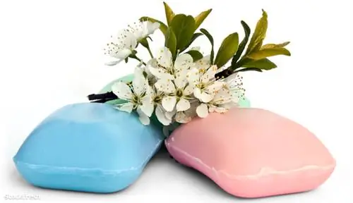 Stockfresh 591913 кусочки мыла с веточкой вишневого цвета