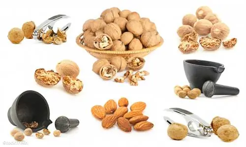 У большинства людей аллергия на фундук и лесные орехи