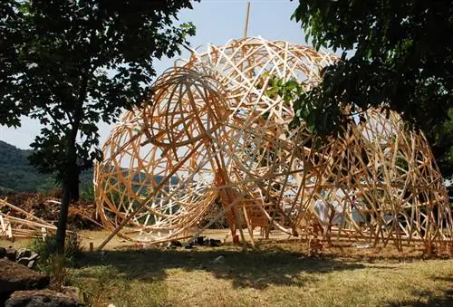 Это может быть улитка