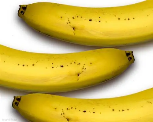 тк3с 56-1016512260