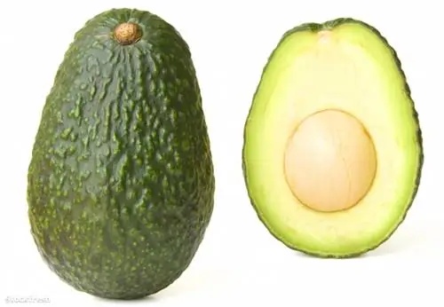 Stockfresh 1646489 авокадо размер M