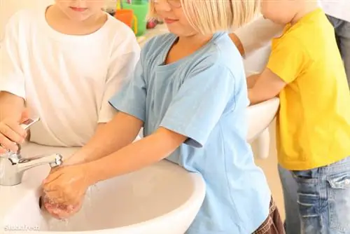 Stockfresh 794958 мытье рук размер M