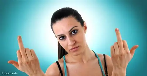 Анатомия ругани