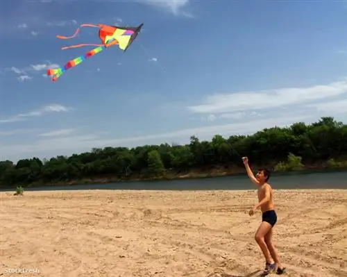 Stockfresh 258584 мальчик-бегущий змей sizeM