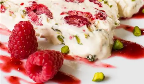 Безопасные для рук, быстрые рецепты мороженого