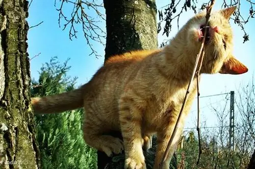 14736117 4e05f17b278cc9d3c0e61f98054e4ed0 л