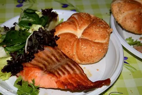 Гамбургская атмосфера с лососем в бальзамическом уксусе, 1490 г.,